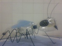 /album/galeria-de-fotos/abelha-de-pet-jpg/